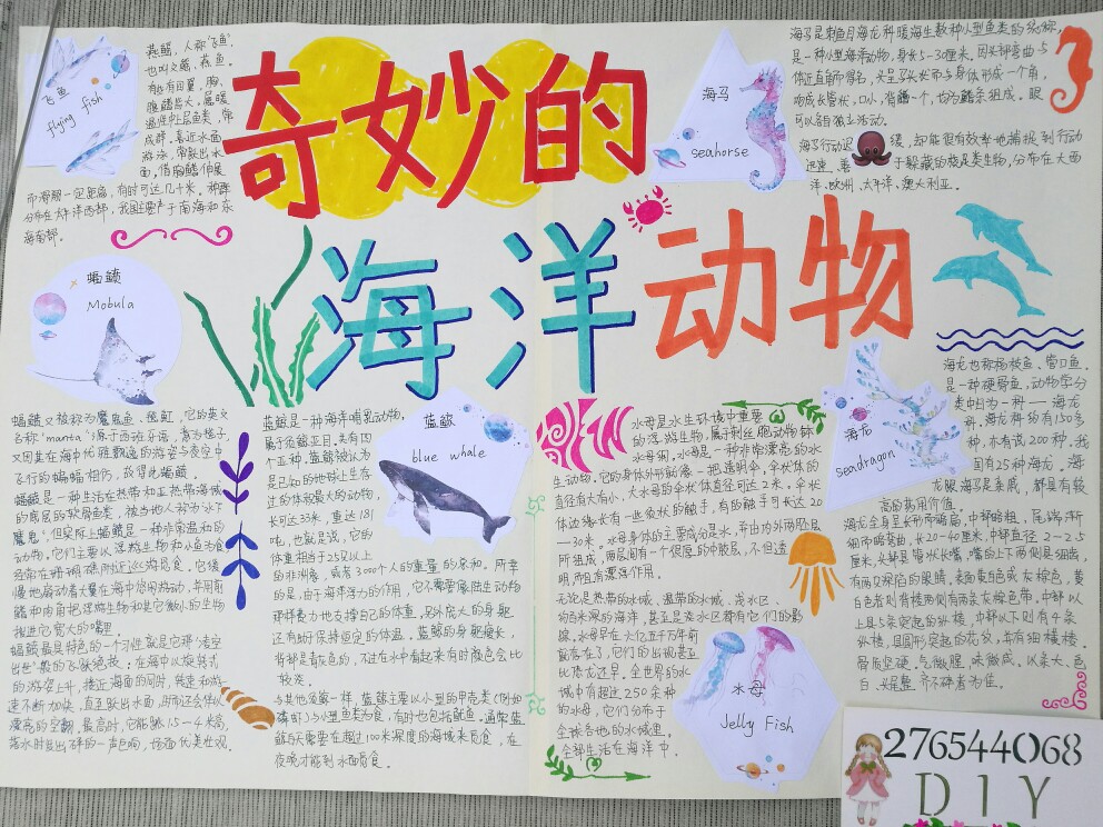 百科知识全书手抄报，探索知识的海洋