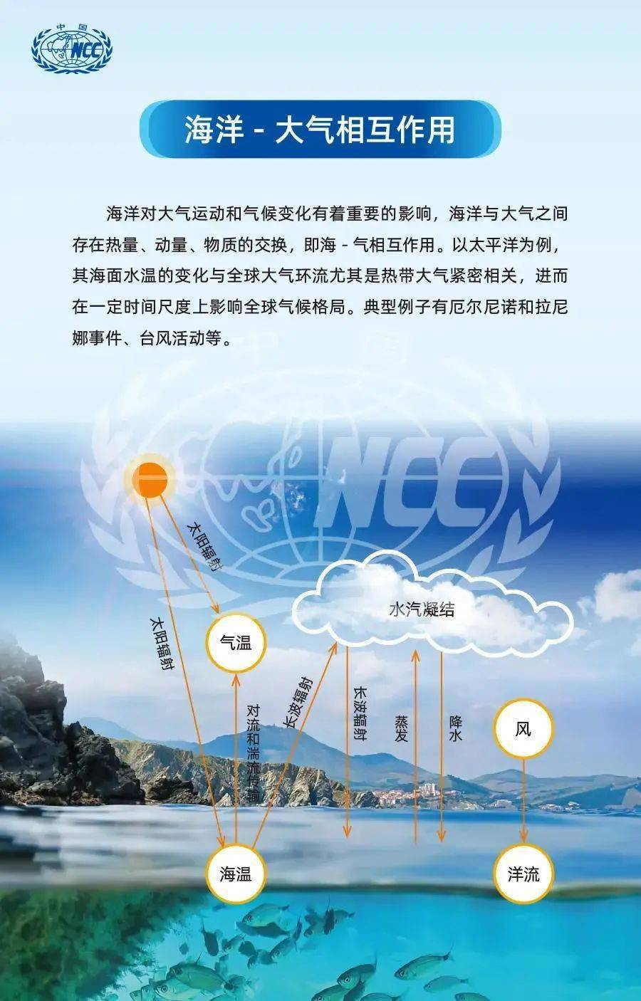 维基百科爱好者交流群，知识的海洋，智慧的交汇