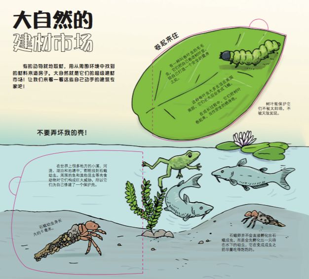 动物百科题库答案，探索动物世界的奥秘