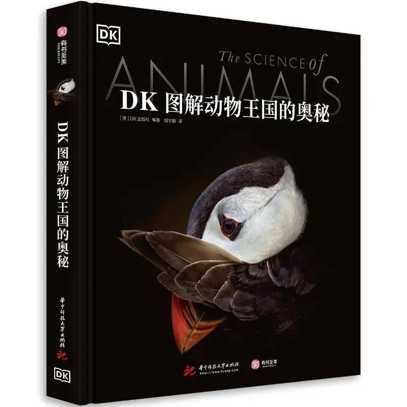 动物百科题库答案，探索动物世界的奥秘