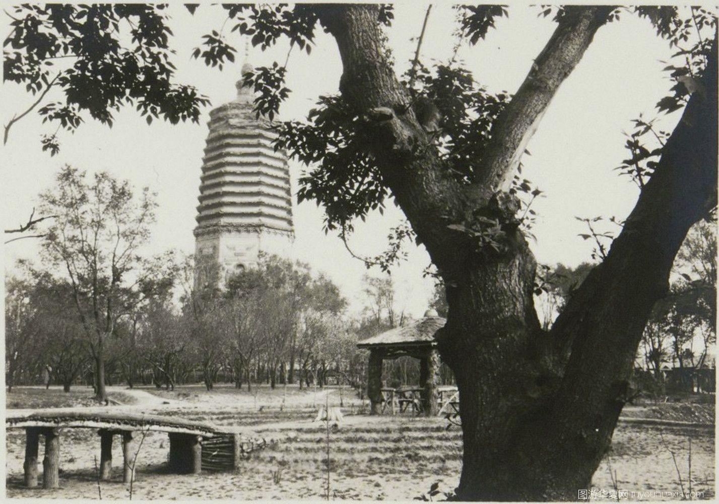 中国地理知识百科全书，探索华夏大地的奥秘
