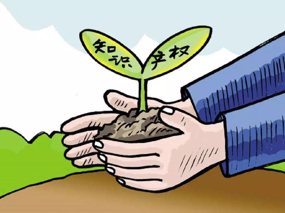 熊猫形象的知识产权保护与打假行动