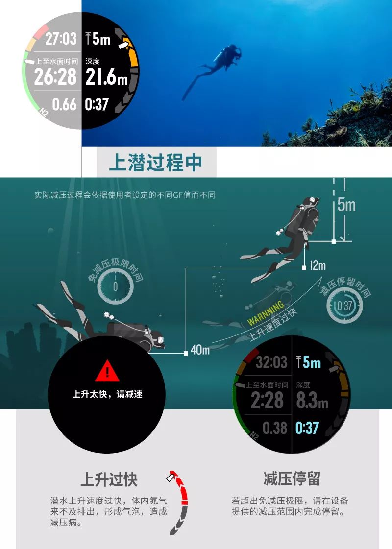 探索知识海洋，下载百科查询神器