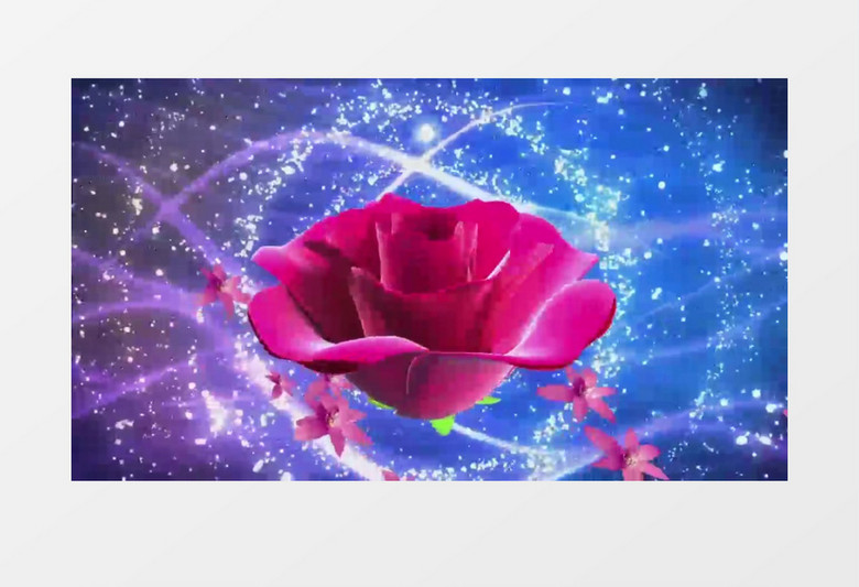 播放花花的寓意，音乐与文化交织的艺术表达