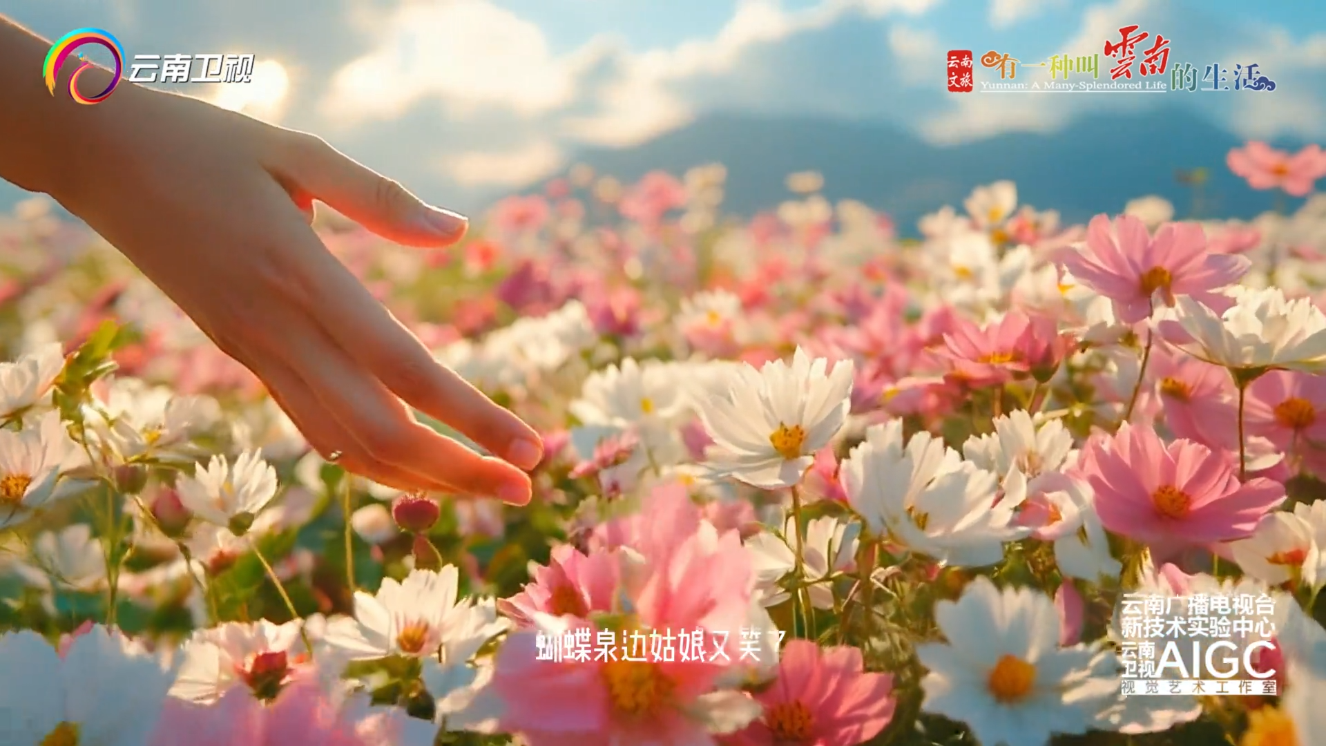 播放花花的寓意，音乐与文化交织的艺术表达