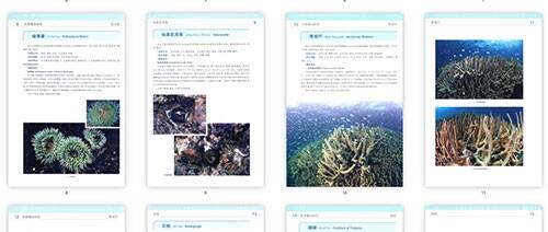 儿童百科问答题大全及答案打印版，开启知识探索之旅