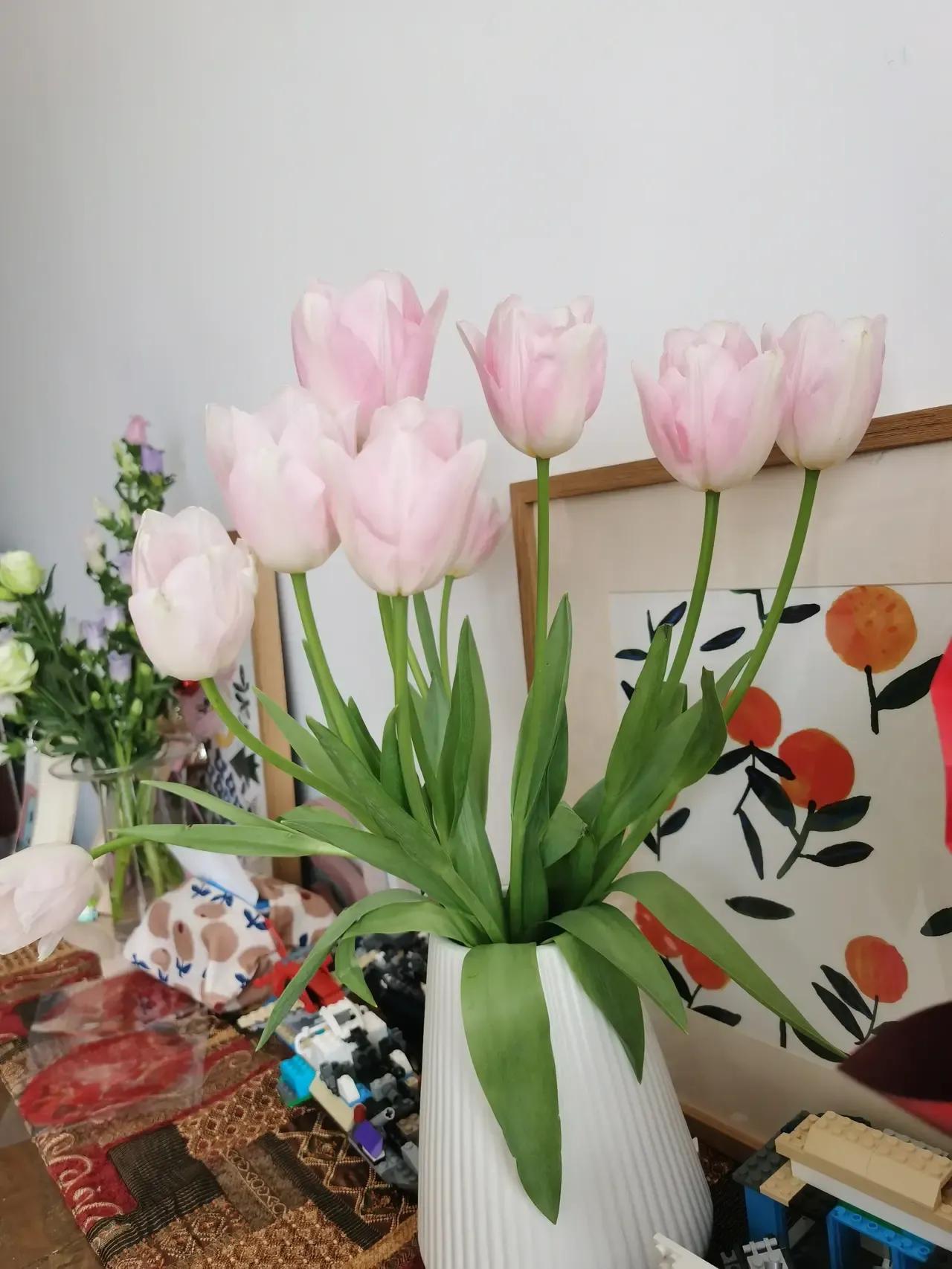 郁金香与玫瑰花的搭配艺术，自然之美的和谐交响