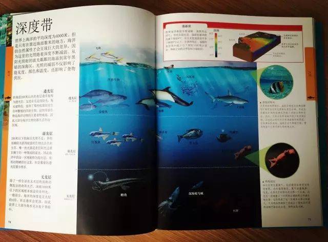 探索知识的海洋，如何高效下载和利用百科全书