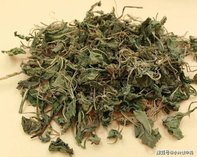 金银花搭配的艺术，传统草药与现代饮食的完美结合