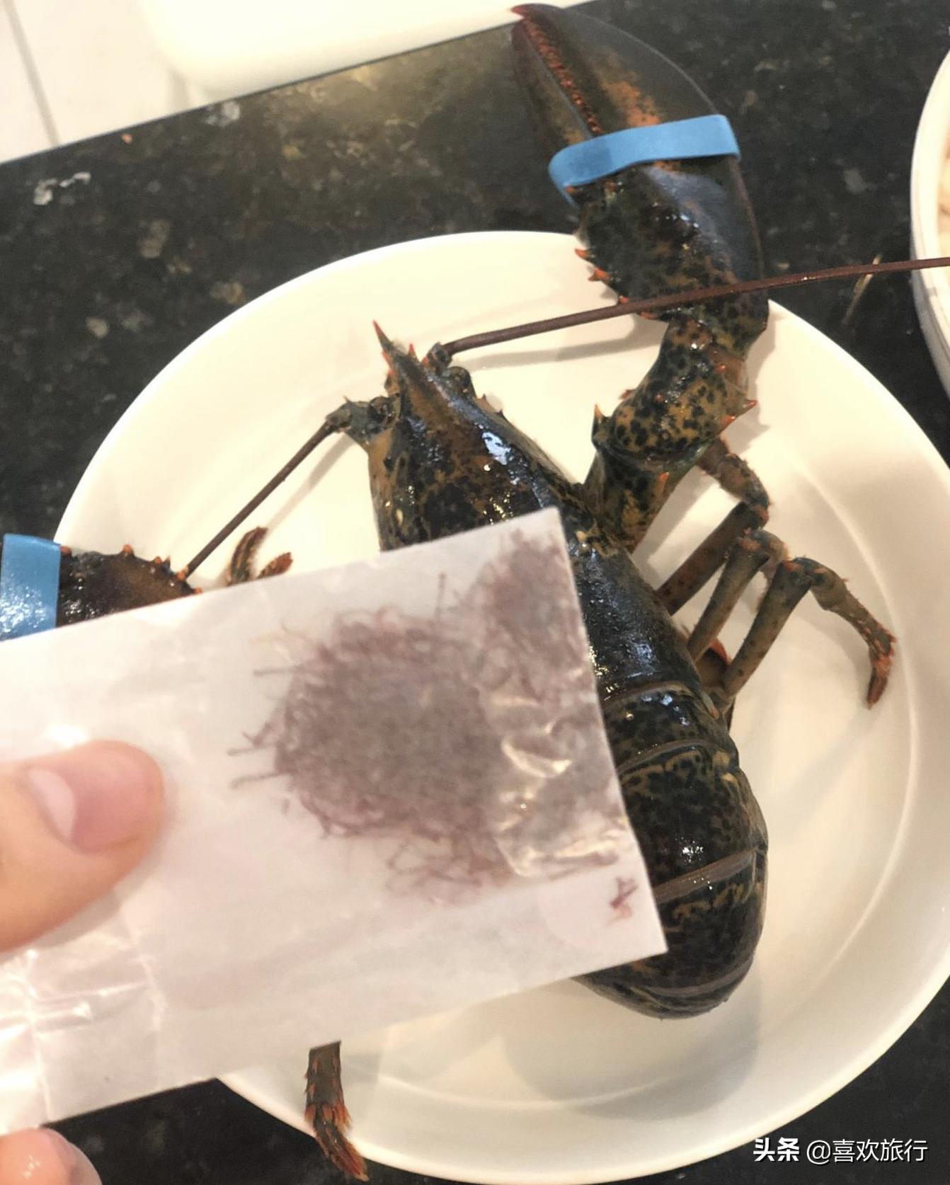 藏红花的完美搭配,提升健康与美味的秘诀 藏红花的完美搭配,提升健康与美味的秘诀