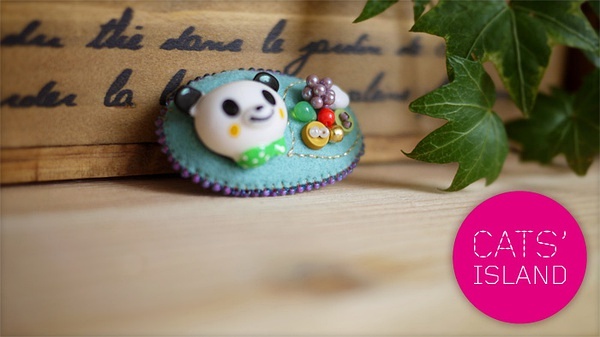 Panda Cats:Unveiling the Lesser-Known Facts in English