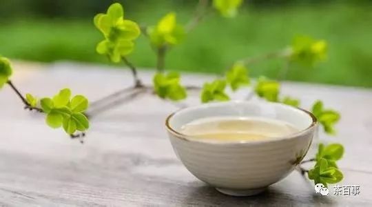 探索降压降脂的茶类，健康饮品的科学选择