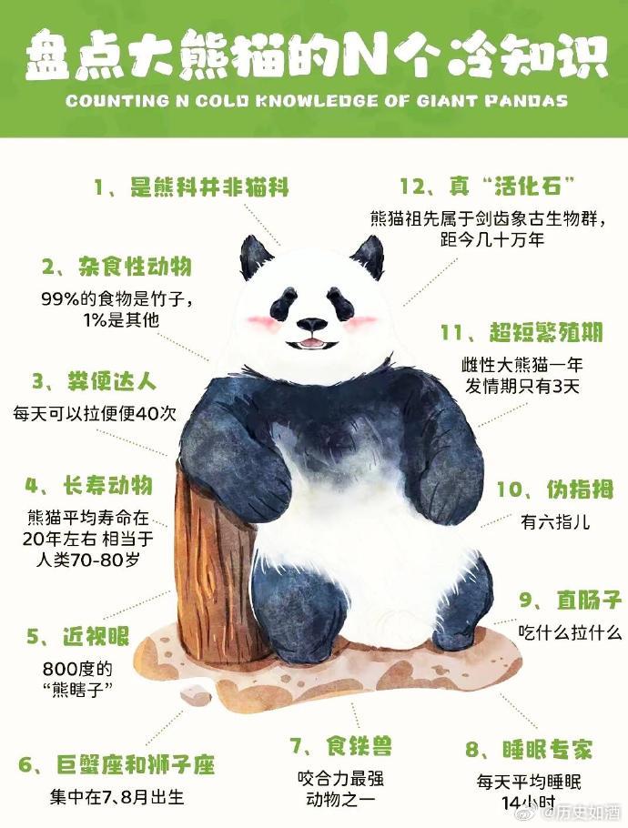 探秘熊猫，揭秘这些可爱生灵的冷知识