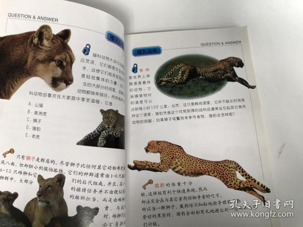 动物百科，题目及答案解析