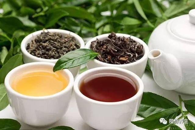 探索最佳降压降脂茶叶，天然健康之选