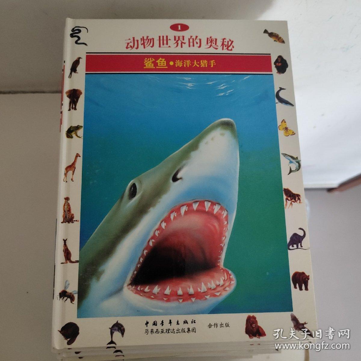 及答案大全，探索动物世界的奥秘