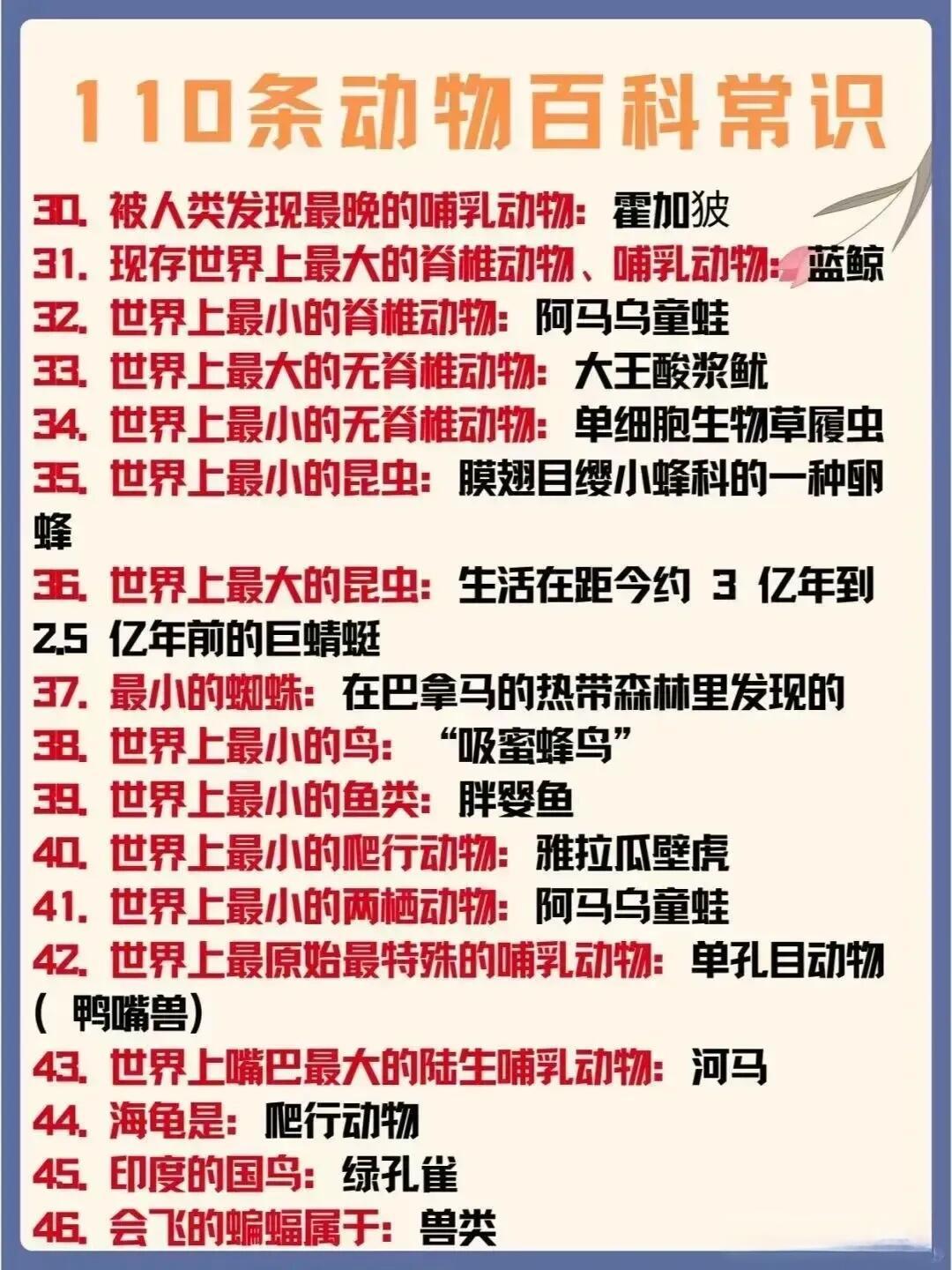 及答案大全，探索动物世界的奥秘