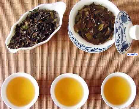 高血压患者能否饮用茶叶茶，了解茶与健康的关联