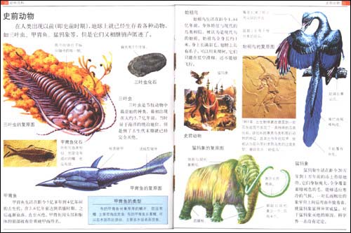 动物百科大全，探索自然界的奇妙生物