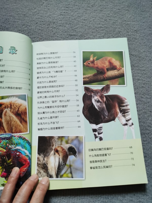 探索动物王国，小学生百科常识100题