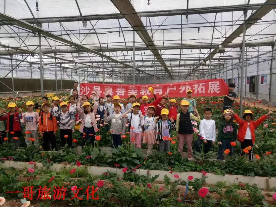 花与花搭配的花语和寓意，解读花卉组合的深层含义