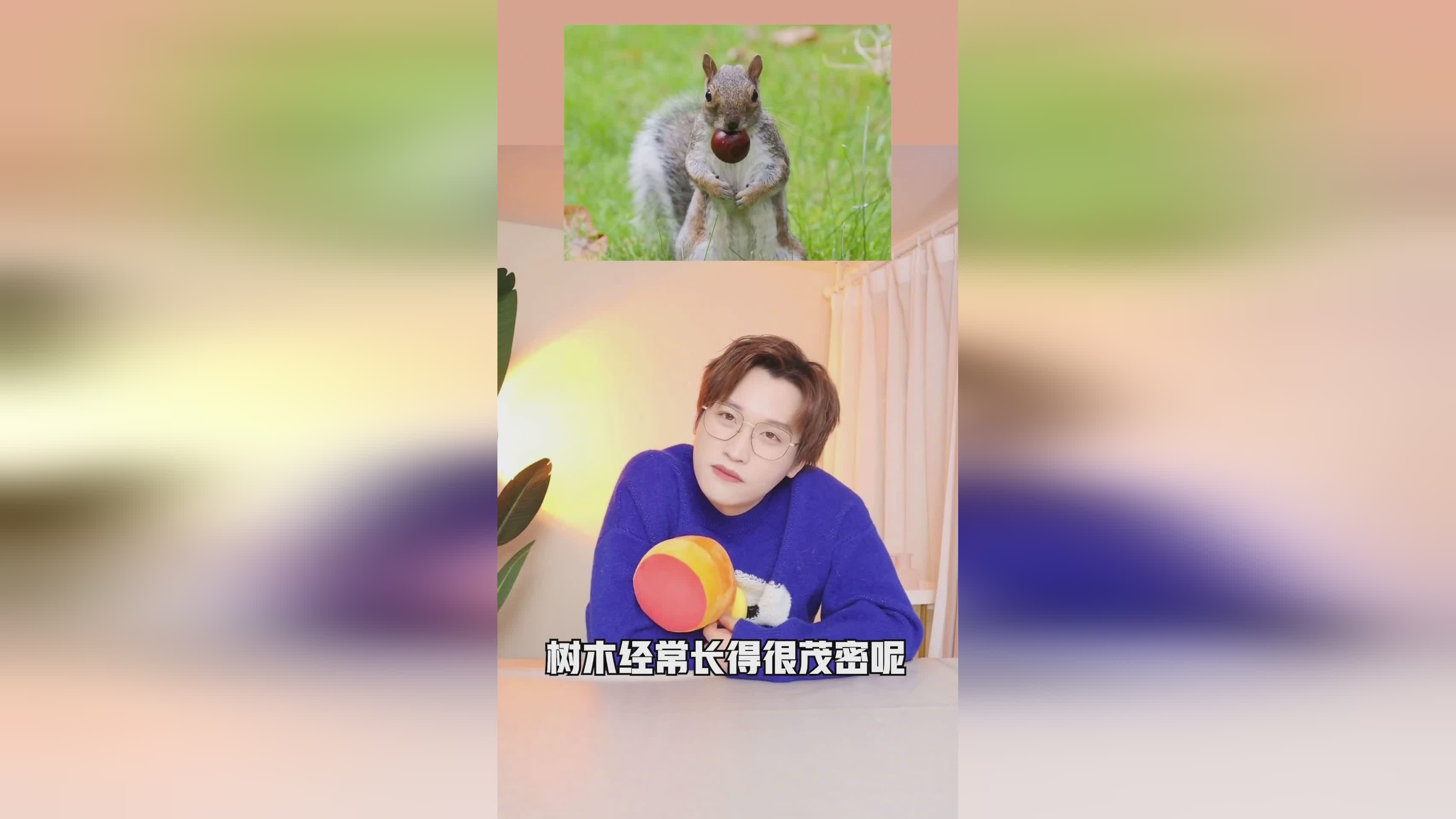 揭秘熊猫，一般人不知道的冷知识