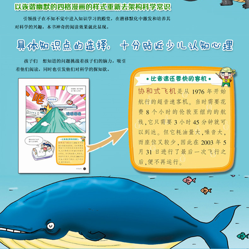 儿童百科系列，探索除法的奥秘 除法VCD的趣味学习之旅