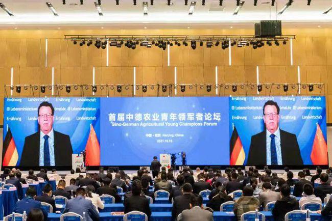 央视，中国媒体的领军者与文化传播的桥梁