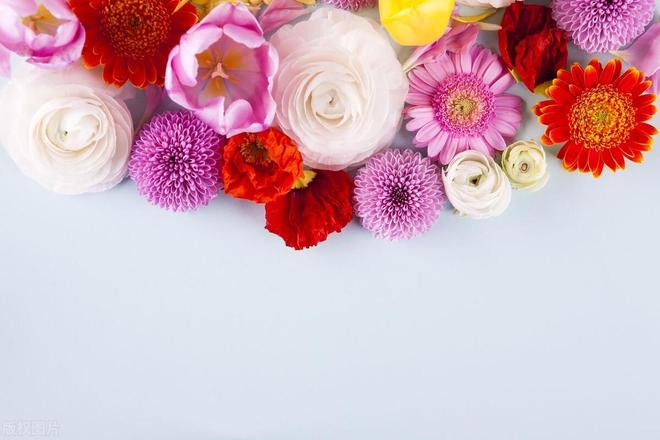 花花的世界，探索花花背后的花卉奥秘