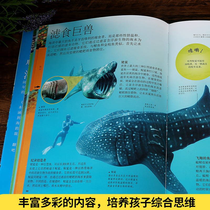 百科全书里的知识，探索知识的海洋