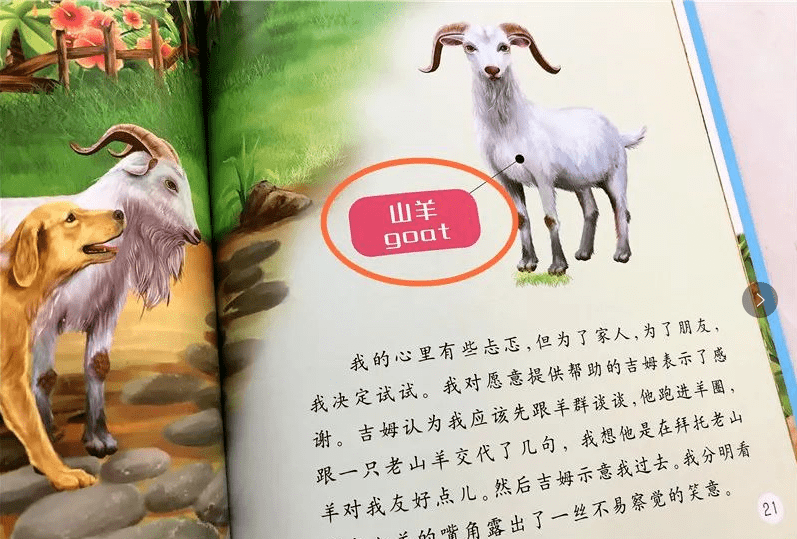 动物百问百答视频大全，揭秘自然界的奇妙世界