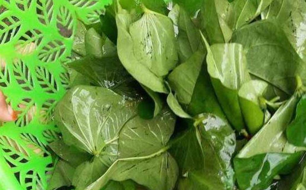 探索降糖茶，天然草本饮品的潜力