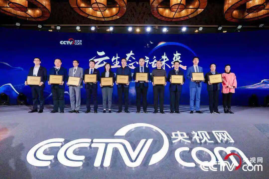 探索央视官方网站，了解中国国家级媒体的窗口