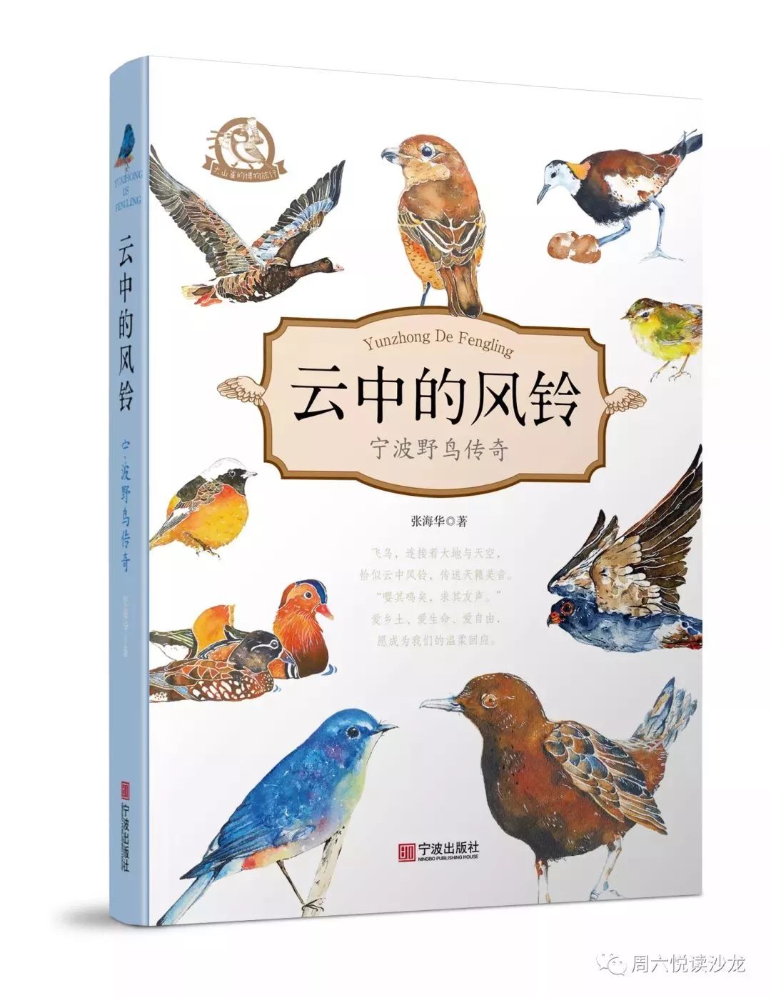 动物百科全书，探索自然界的奇妙之旅